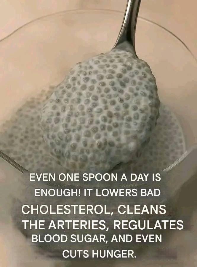 Chia Seed Pudding: The Simple Spoonful Superfood That Everyone Is Talking About