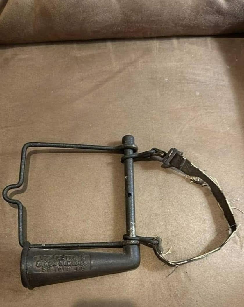 Can You Identify This Brass Beauty? The Antique Horse Drencher
