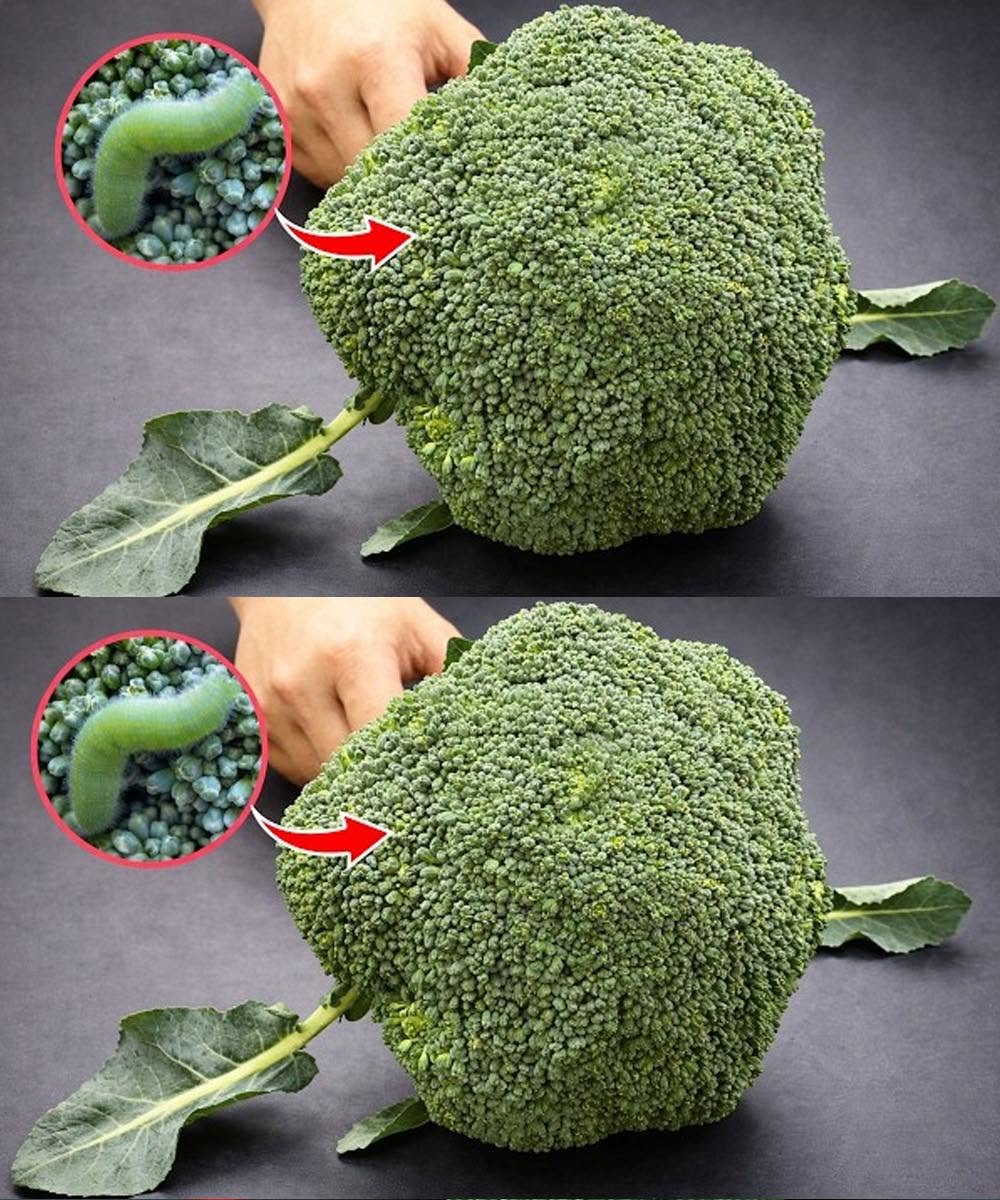 Washing broccoli with just water is wrong: This is the correct way.