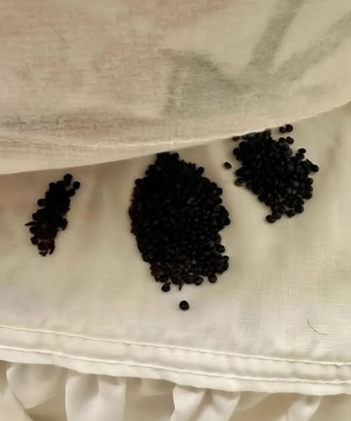 My Wife Gave Birth to a Baby with Black Skin – When I Found Out Why, I Stayed with Her Forever