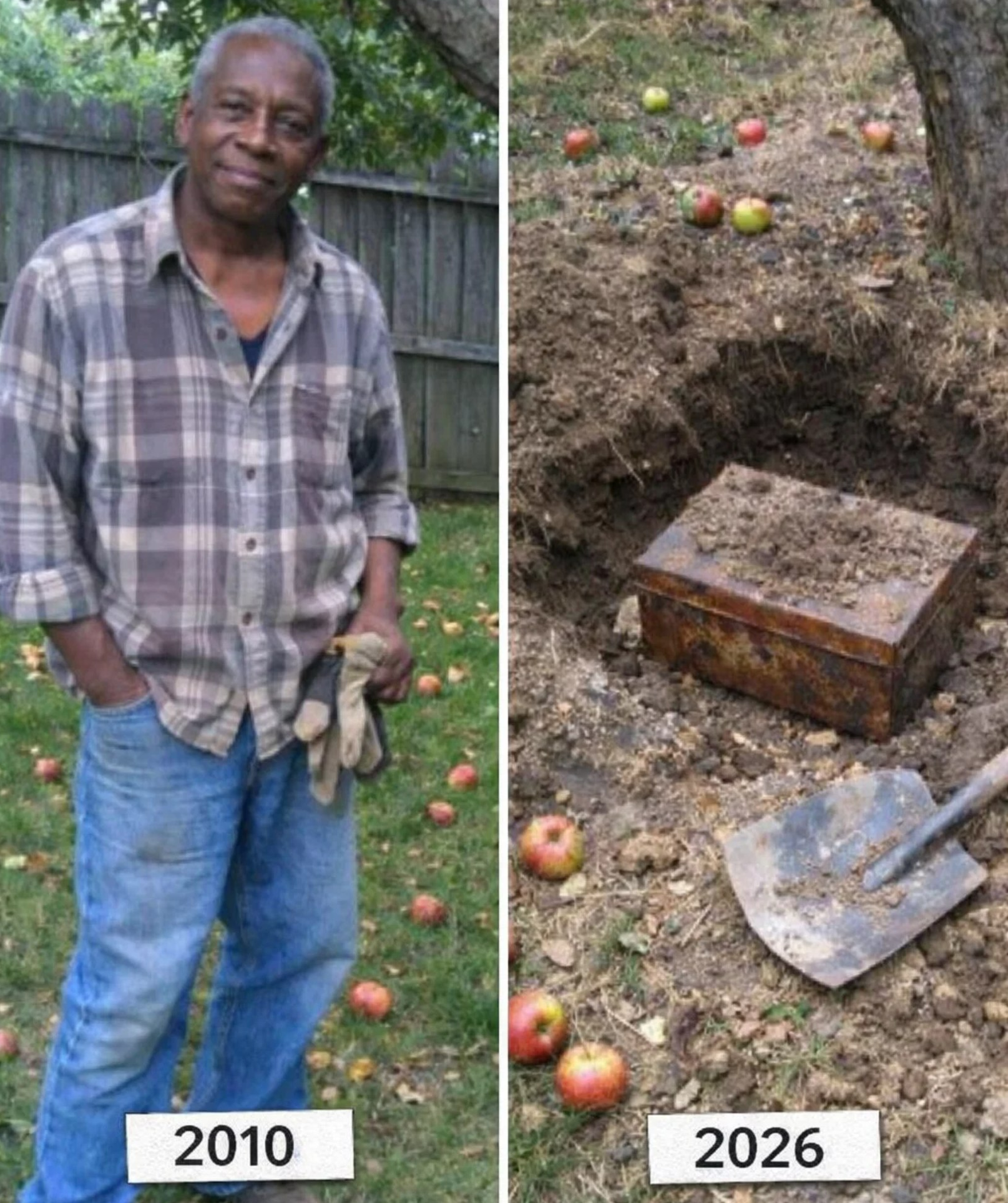 My Elderly Neighbor Died — Two Days Later, I Dug Up the Secret He Hid Under His Apple Tree for 40 Years
