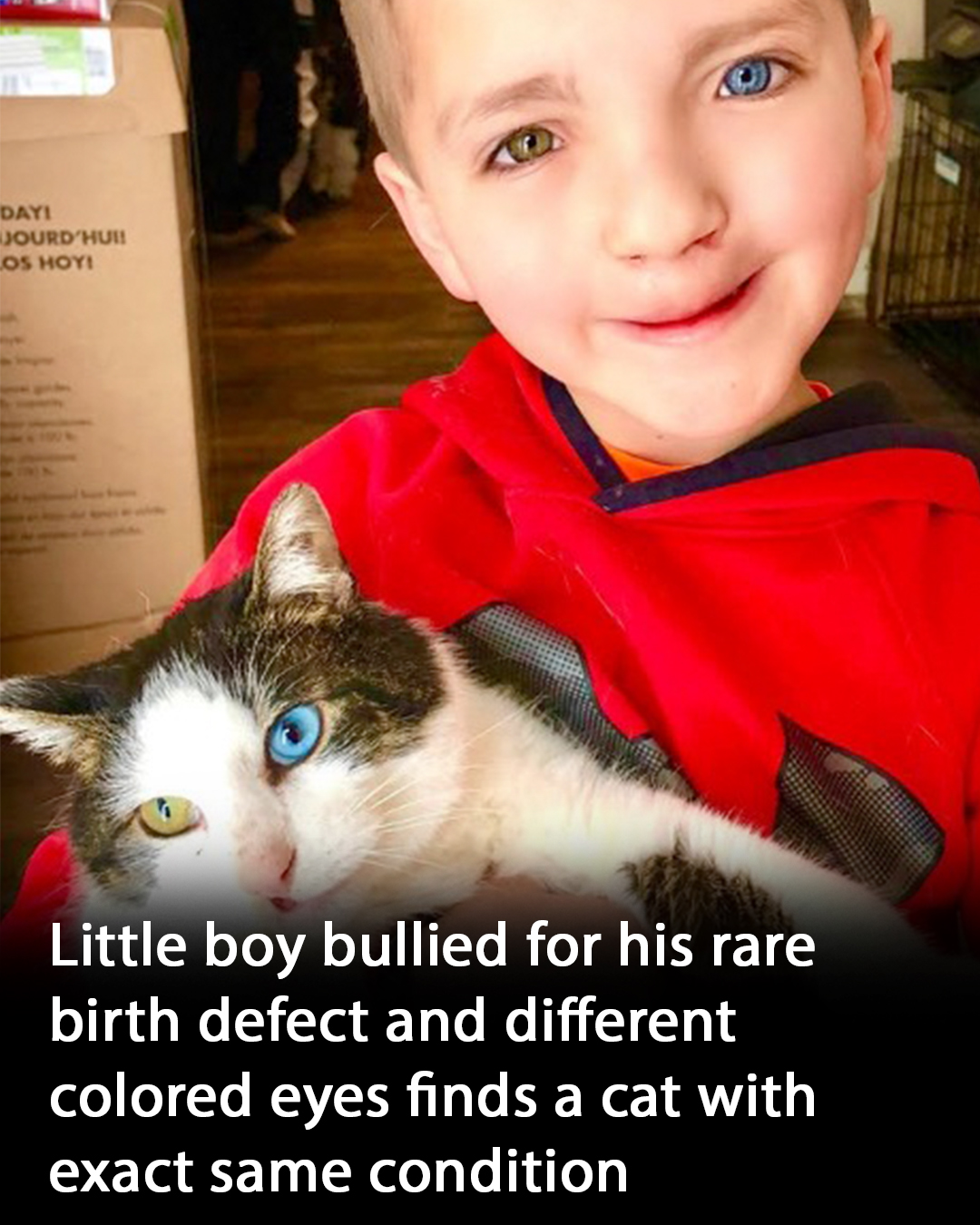 Boy bu.l.l.ied for cleft lip and different colored eyes: Cat turns up on Facebook and changes everything