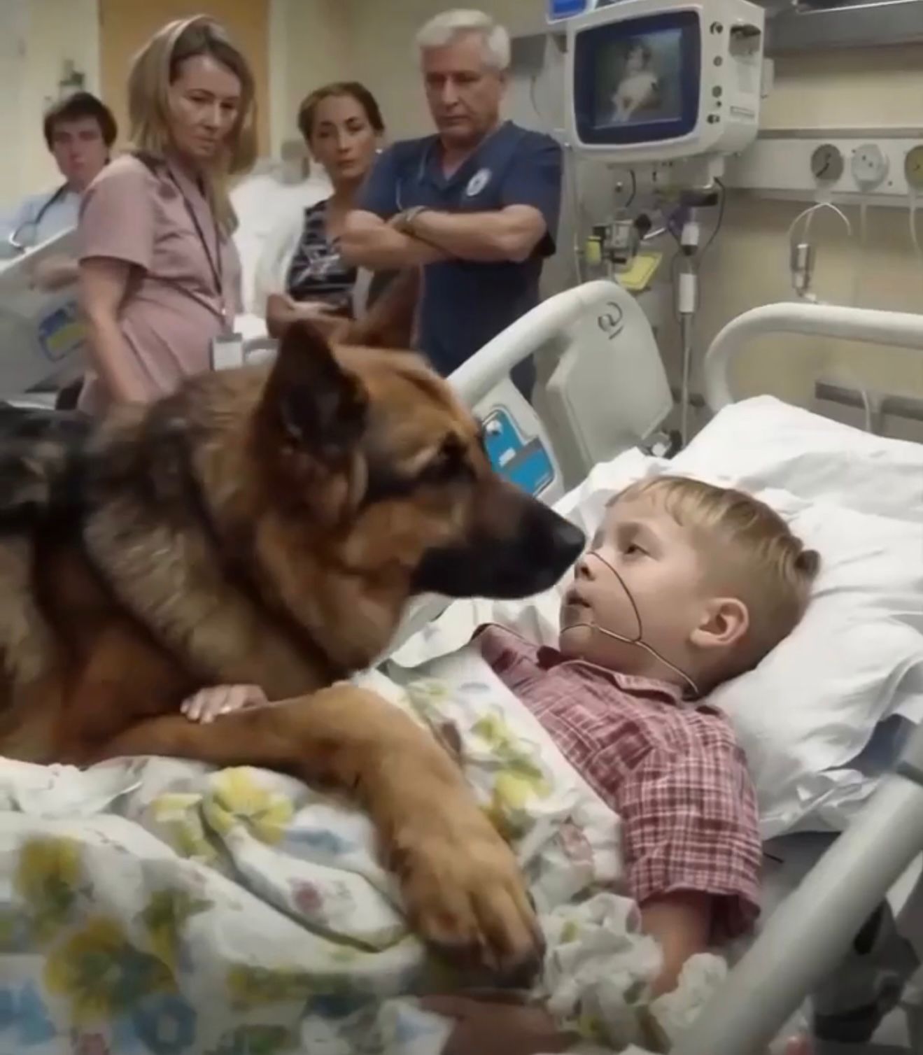 Boy shares a heartfelt hug with his dog before surgery — the outcome surprises everyone