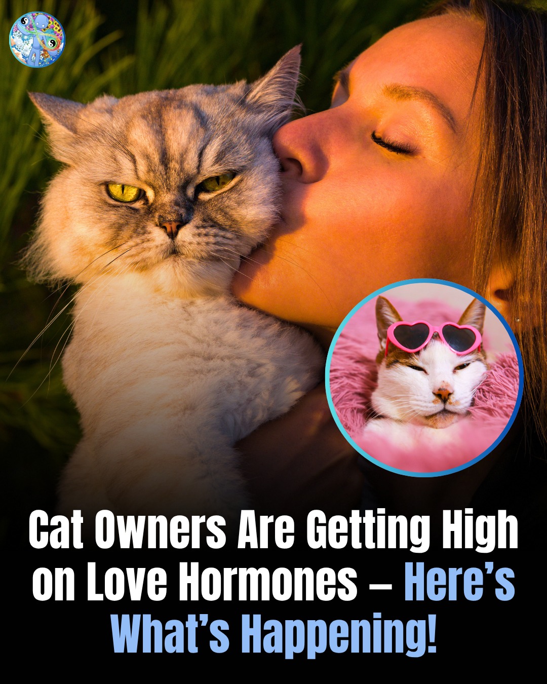 The Science and Spirit of Cat Companionship: How Energy, Chemistry, and Connection Shape Healing