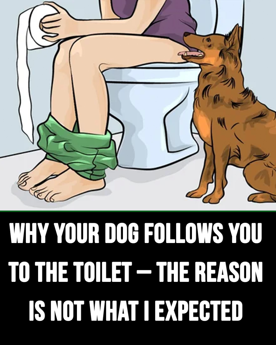 Why your dog follows you to the toilet – the reason is more significant than you think