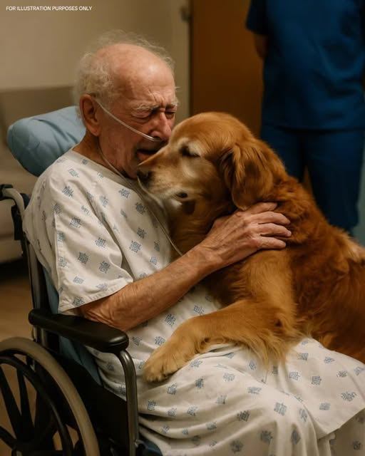 The doctors allowed the dog to enter the room to say goodbye to his owner – a few hours later, the nurse walked in and screamed in horror