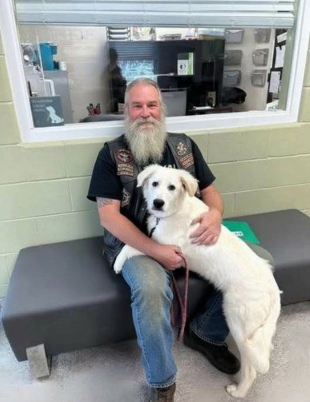 Biker Found This Dog Chained To A Bridge With A Note!
