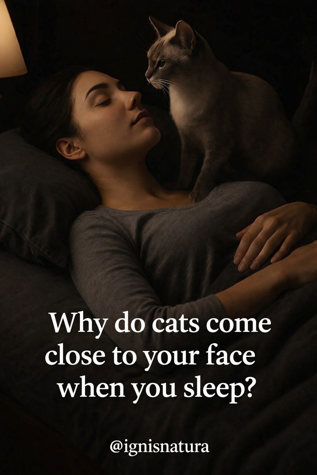 If your cat comes near your face while you sleep, this is happening in your life