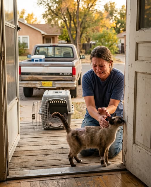 He drove 1,400 miles to return a cat he found in his engine. The owner had been searching for two years.