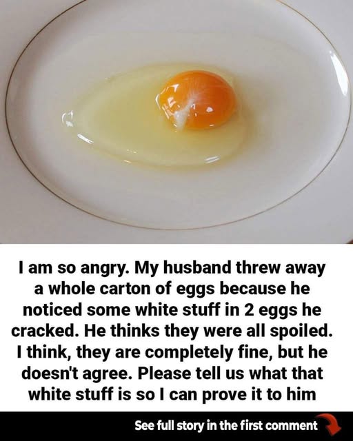 How to Tell If An Egg Has Gone Bad