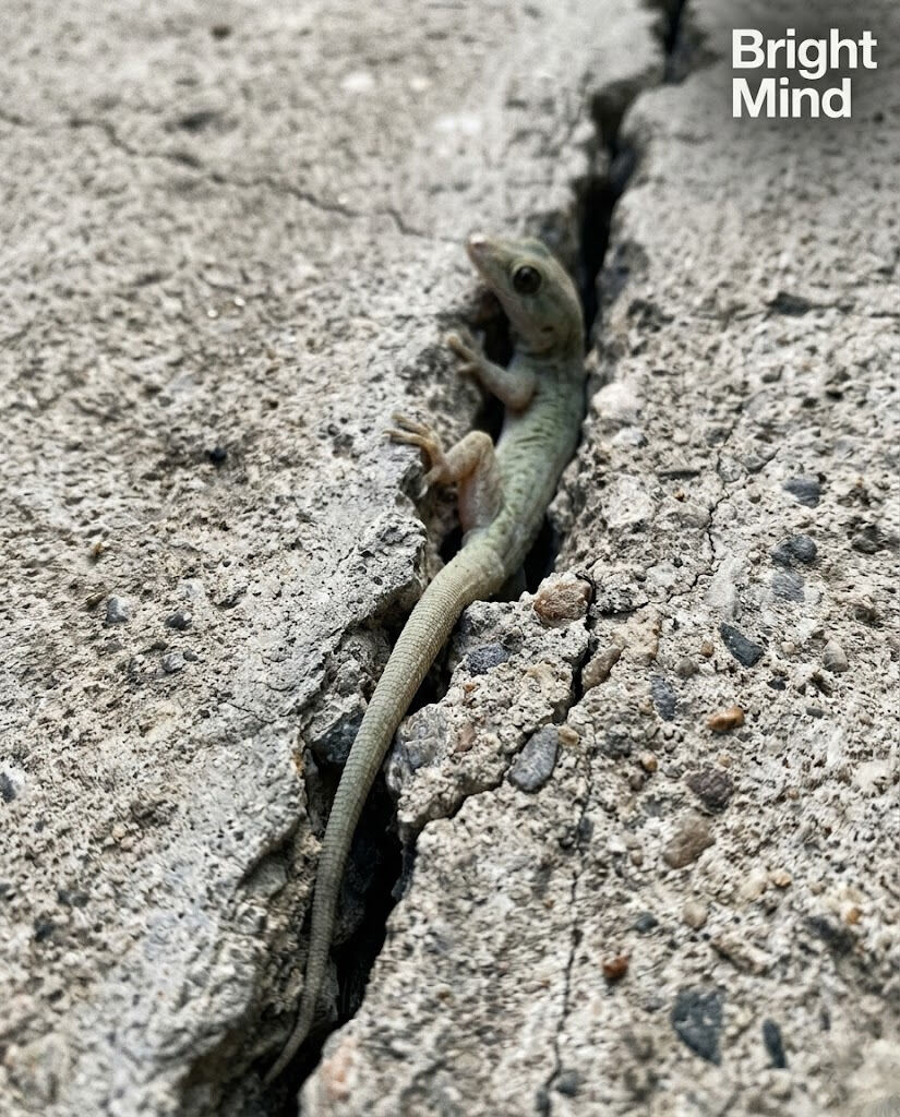 I Noticed Something Moving Inside My Wall — And I Wasn’t Ready for What It Turned Out to Be