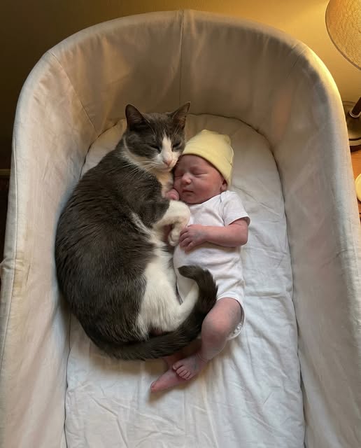 She was found in a dumpster at 2 days old. Doctors said she wouldn't survive the week. They didn't know about the cat.