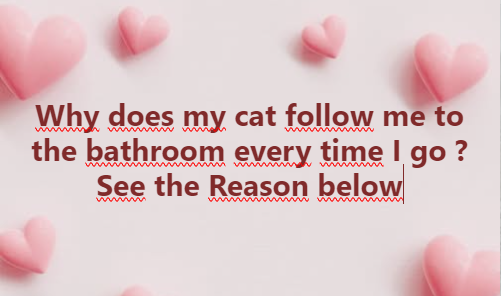 Why Does My Cat Follow Me to the Bathroom?