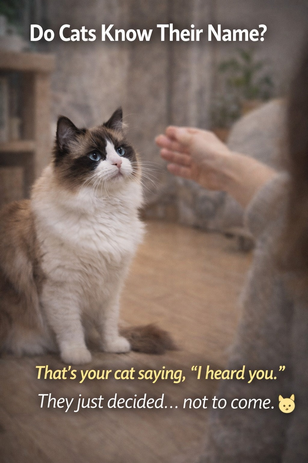 Do cats know their name… or just ignore you? 🐱