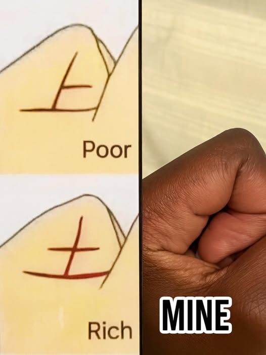 Can Your Hand Reveal If You’ll Be Rich or Poor? (Palmistry Explained)