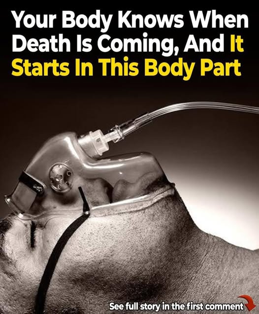 A research reveals your body knows when death is near, and it all starts in the nose