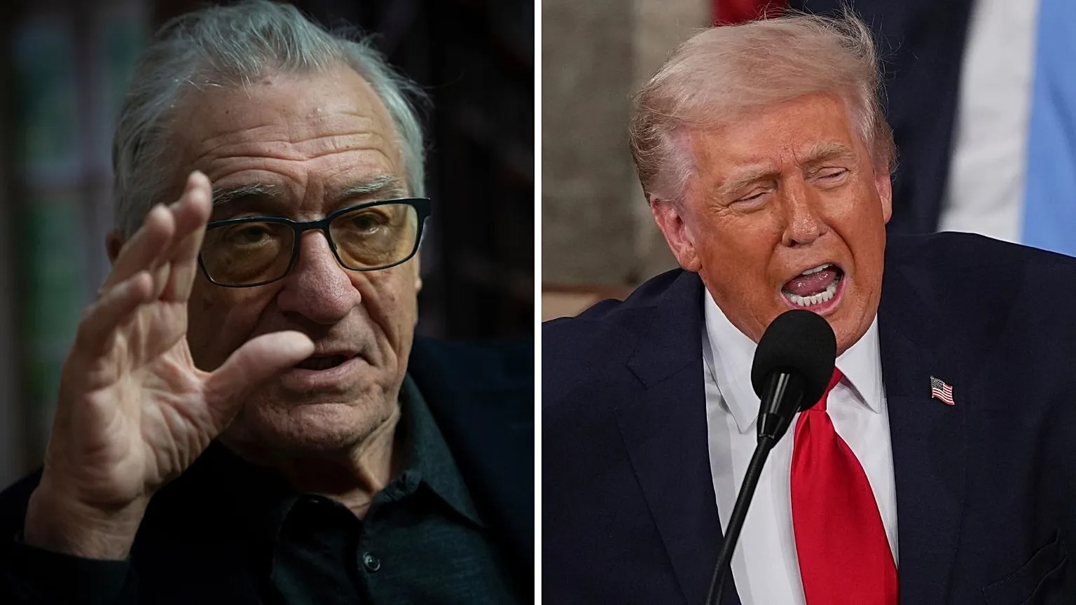 Robert De Niro Takes Aim at Trump Over Voting Rights at New York Rally