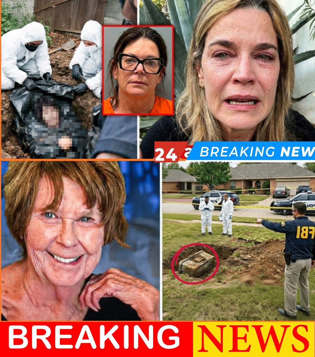Buried Secrets Unearthed: What Was Really Found in the Garden at Savannah Guthrie’s Sister’s Home.