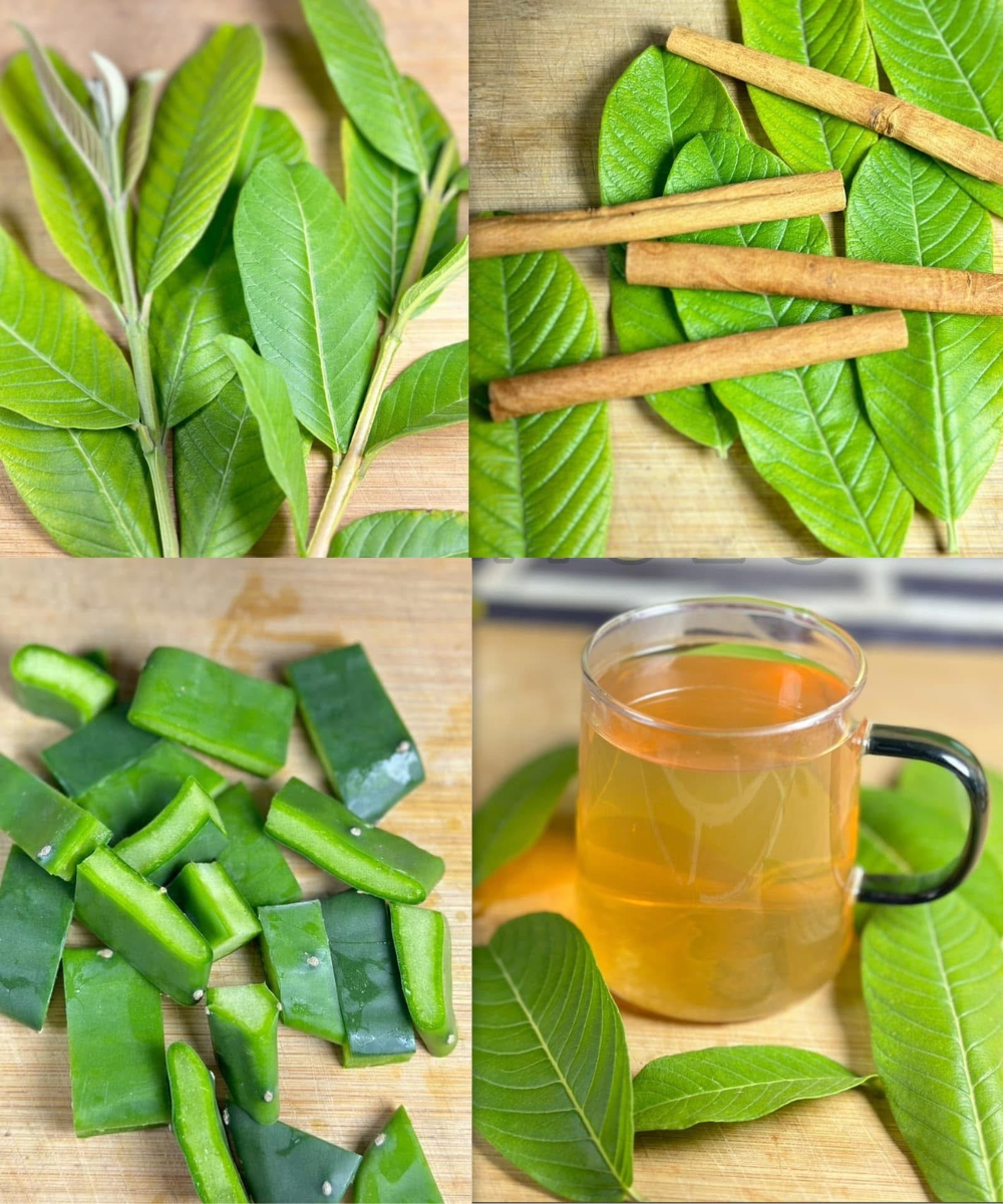 Eliminate Poor Circulation, Fatty Liver, Diabetes, and Knee Pain Naturally—Dr. Frank Suárez’s Powerful Leaf Remedy