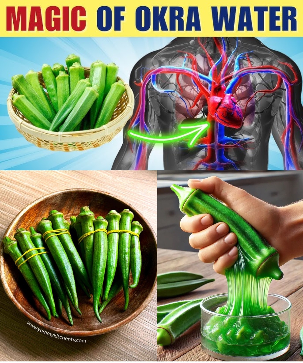 Okra: 10 Gentle Wellness Secrets of This Humble Green Pod