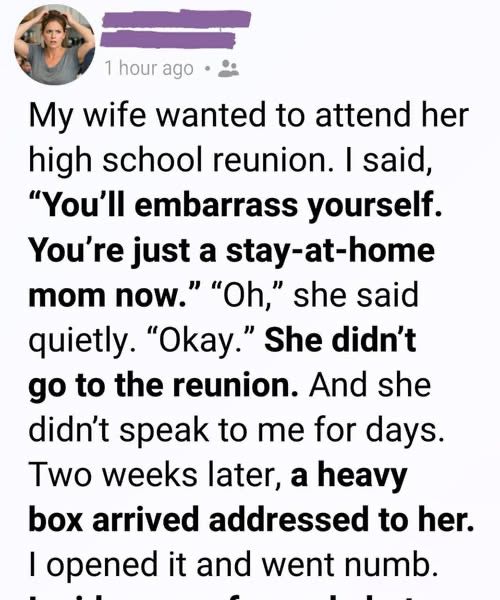 He Told His Wife She’d Embarrass Herself at Her High School Reunion — Two Weeks Later, a Box Arrived That Left Him Speechless