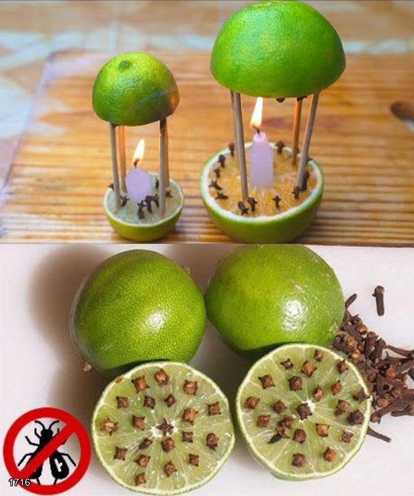 Cloves and Lemon: 10 Brilliant Uses for This Age-Old Natural Remedy