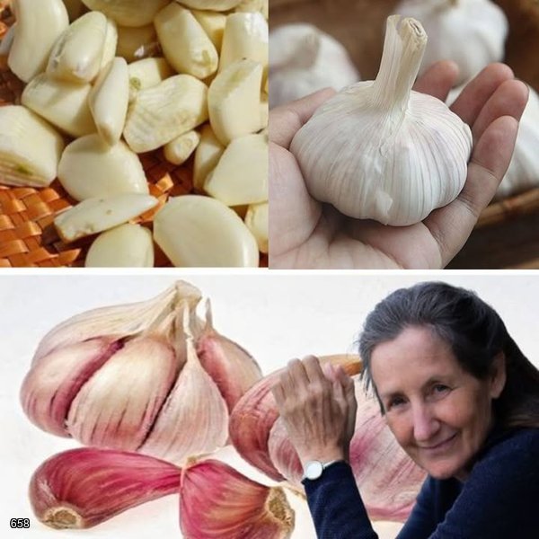 Garlic: 9 Surprising Health Benefits and Creative Uses Beyond the Kitchen