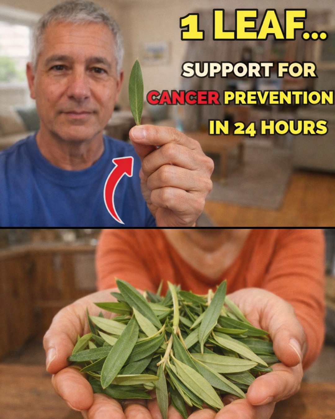 This type of leaf has the potential to HELP PREVENT cancer, a secret that doctors haven’t revealed!