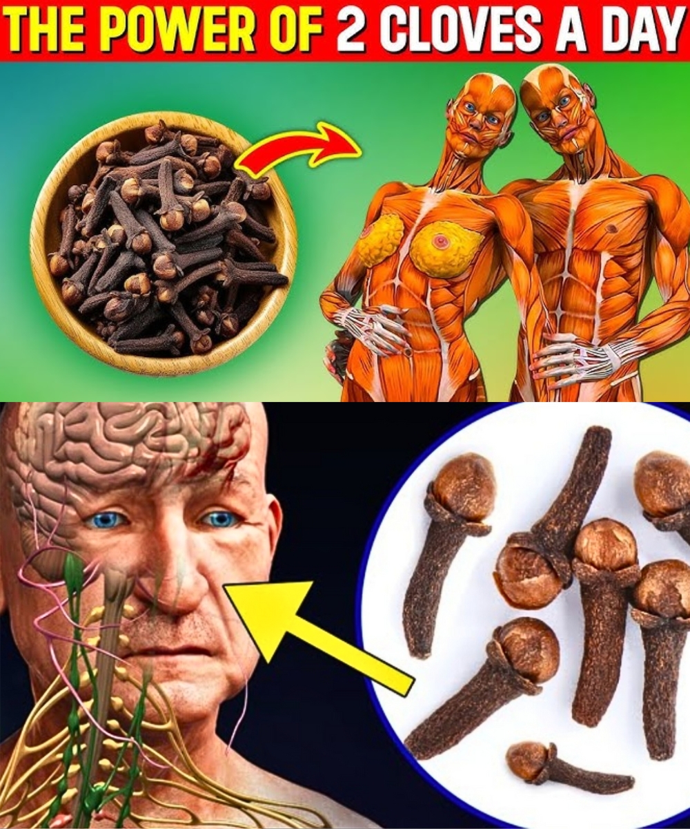 After 50: Chew 2 Cloves Daily on an Empty Stomach—Your Body Will Thank You