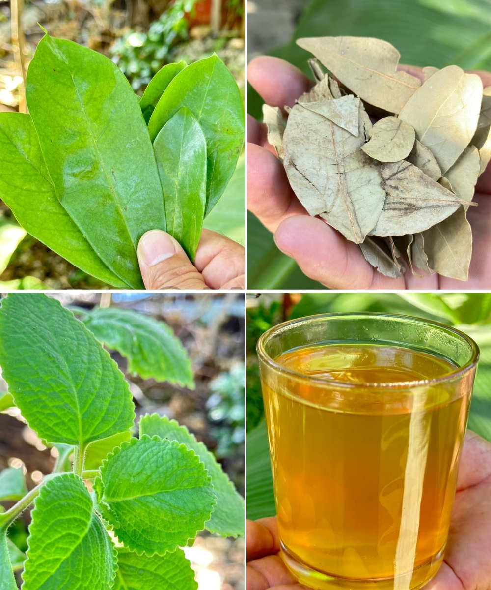 At 70, I Eliminated Diabetes, High Blood Pressure, and Poor Circulation Naturally — No Expensive Pills Needed!