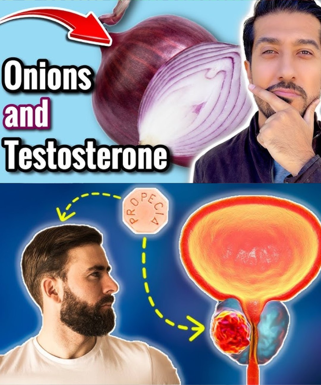 The Hidden Healing Power of Onions for Bladder & Prostate Health