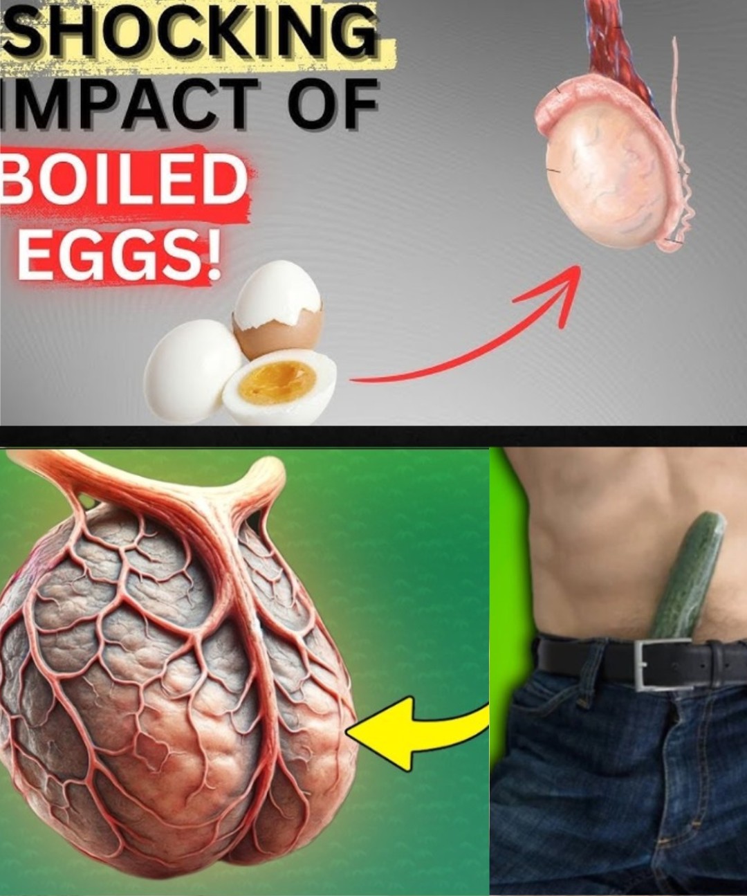 What Happens When You Eat 2 Eggs Every Morning for a Month? Here’s the Surprising Truth