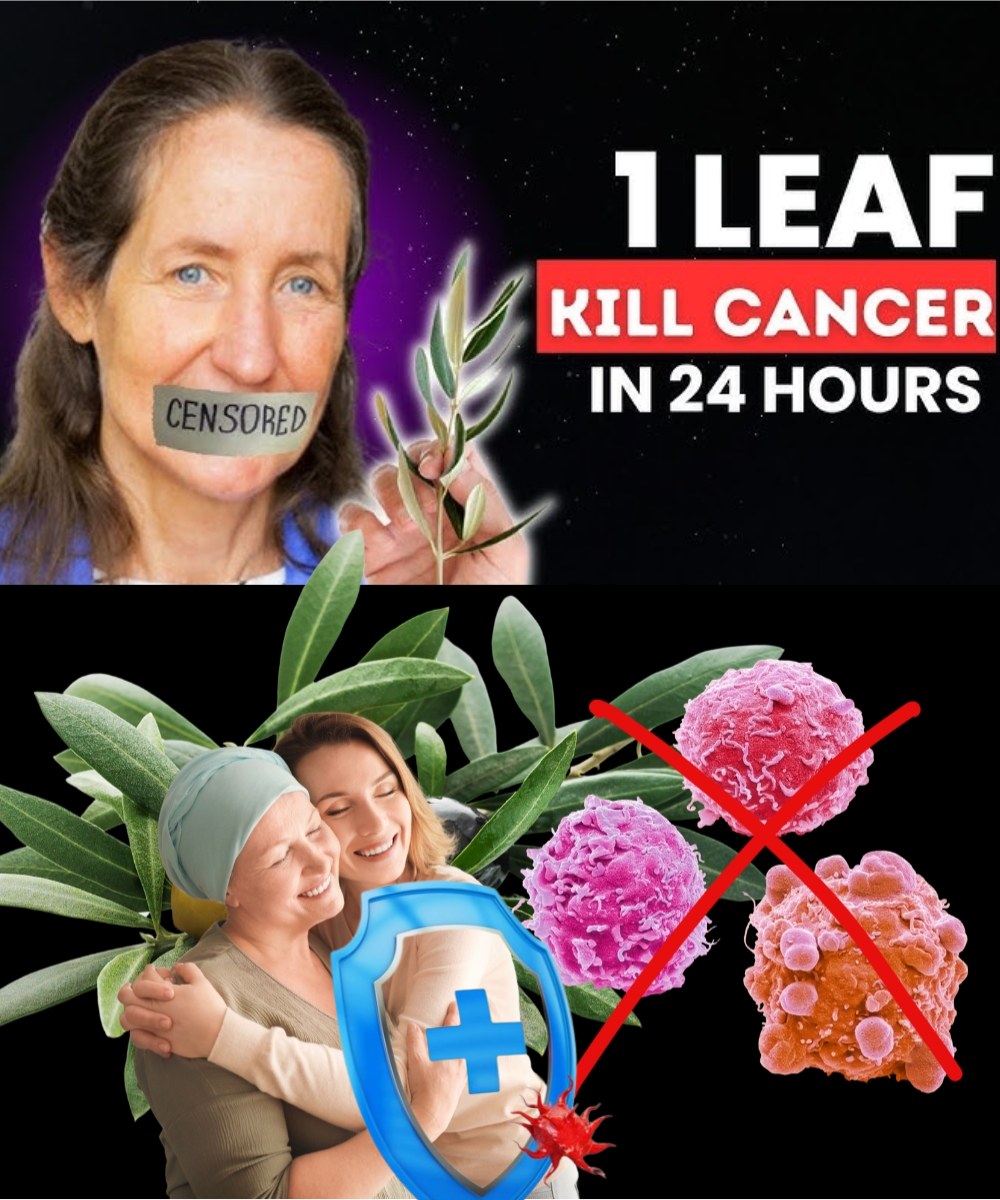 Rethinking Cancer: Barbara O’Neill’s Take on Natural Healing and the Pharmaceutical Industry