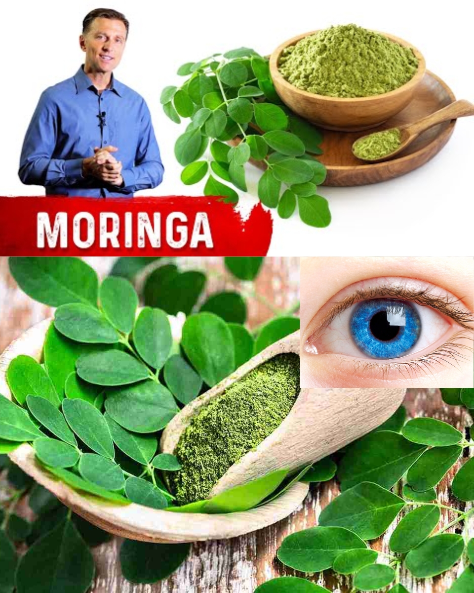14 Gentle Moringa Leaf Benefits You’ll Rarely Hear From Your Doctor (But Definitely Should Know)