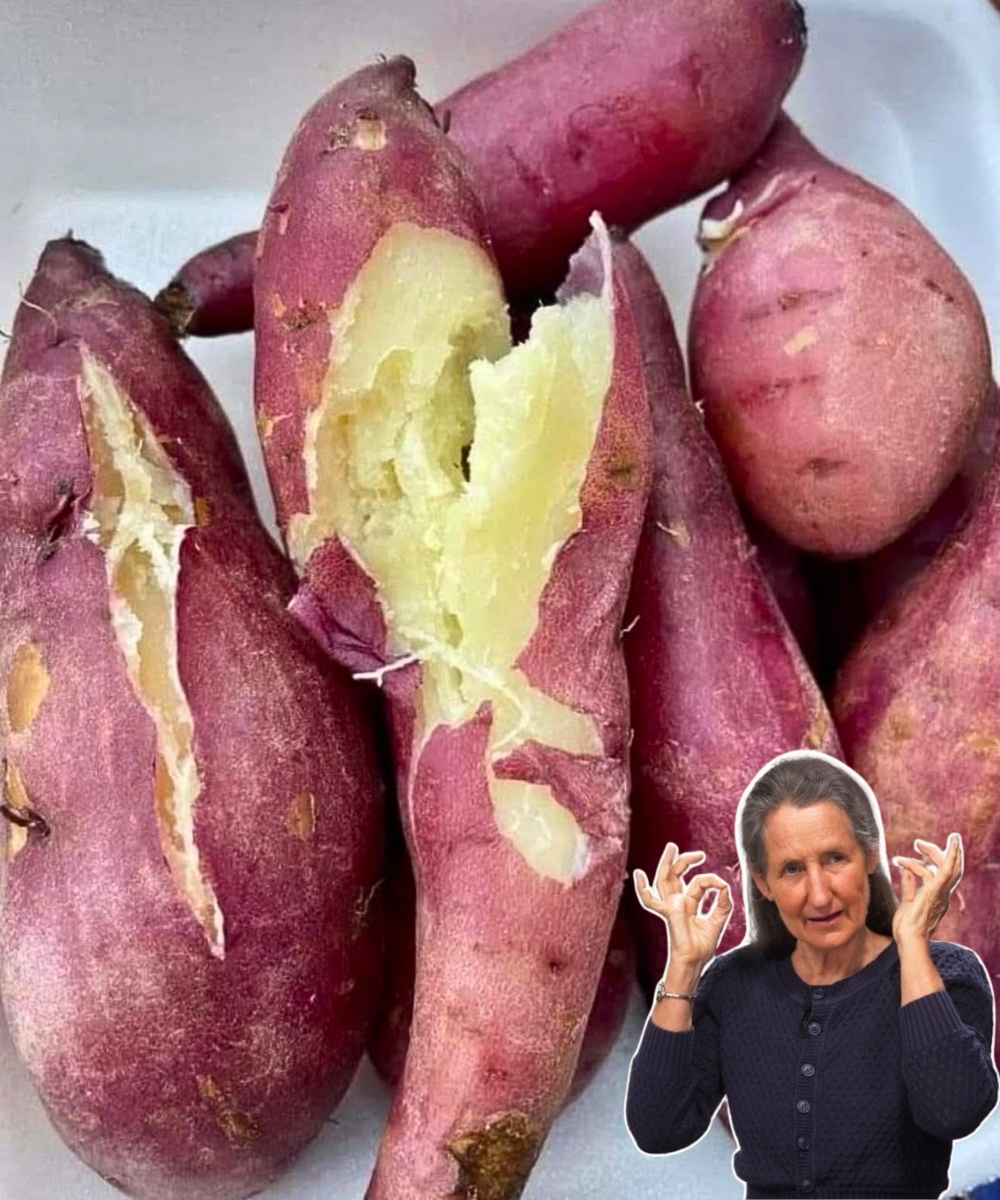 Boiled Sweet Potatoes Done Right Are Better Than Supplements: 20+ Amazing Health Benefits