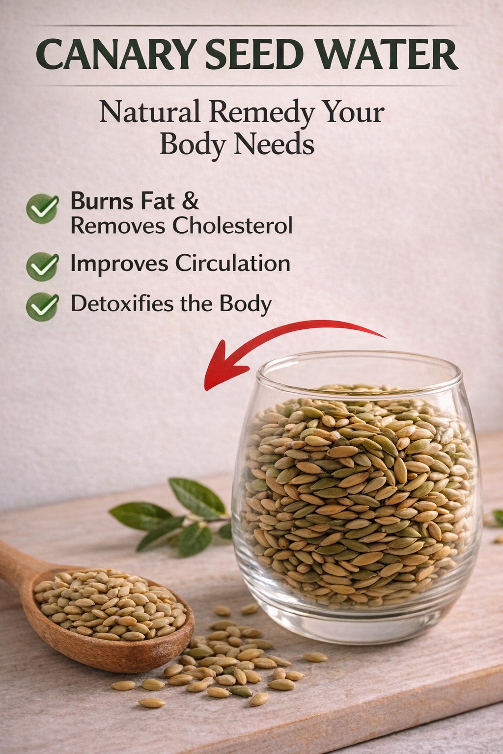 Discovering Canary Seeds (Alpiste): A Simple Seed That May Support Your Weight Management and Blood Sugar Goals