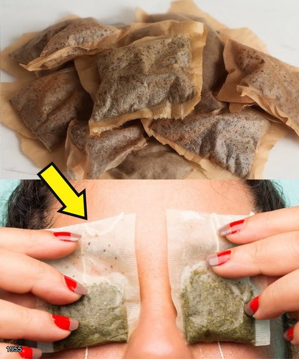 You Will Never Throw Away Used Tea Bags Again After Learning These Incredible Uses