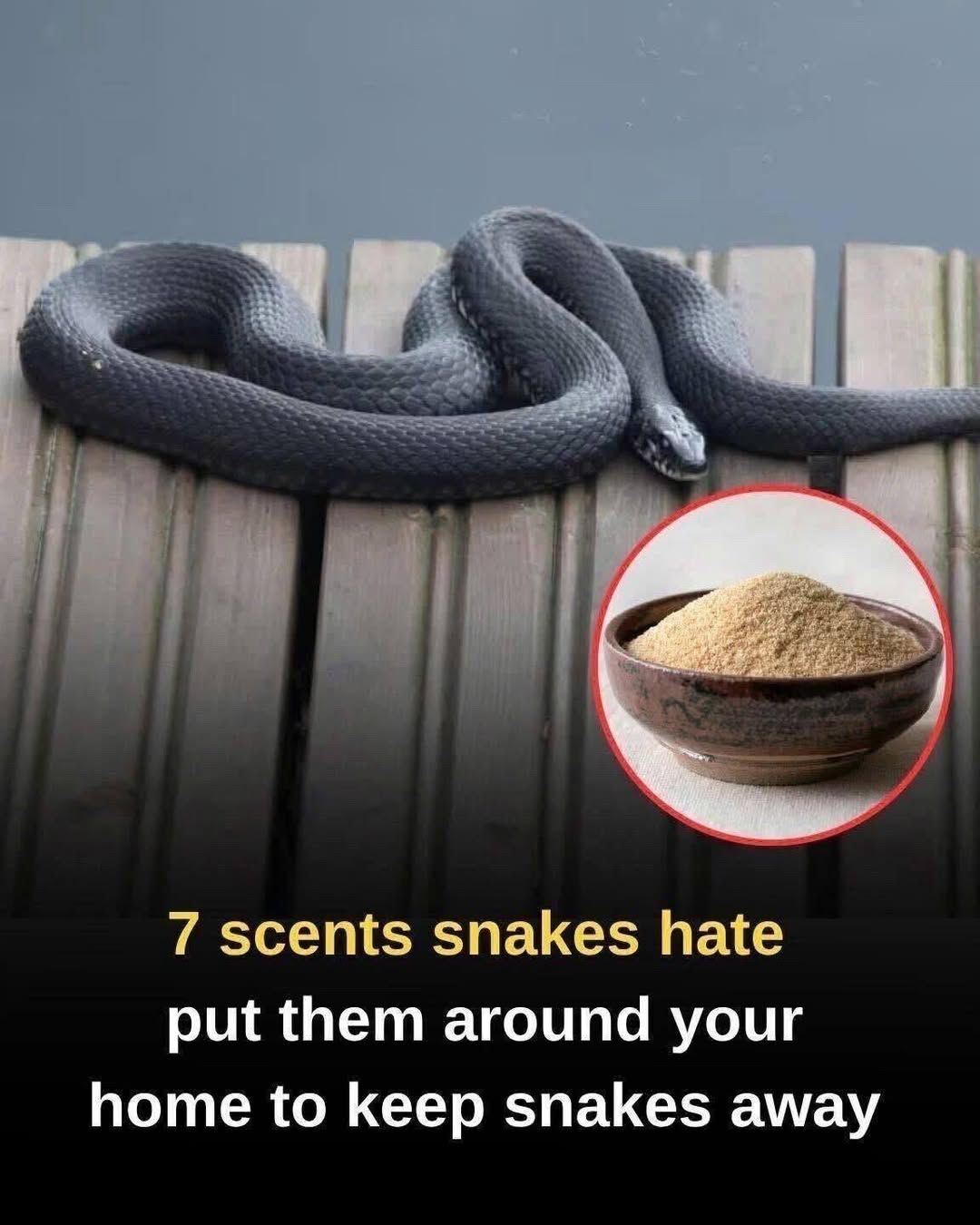 7 Scents People Swear Keep Snakes Away From Their Homes