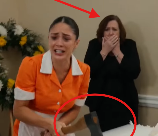 The Maid Smashed the Coffin Open… And Exposed the Secret That Almost Buried Her Alive