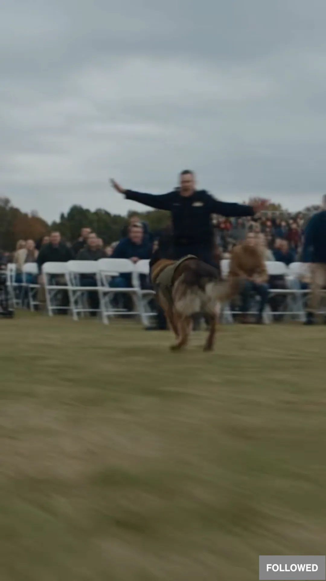 The Military K9 Broke Formation—Then Ran Straight to the Veteran Who Thought He Was Dead