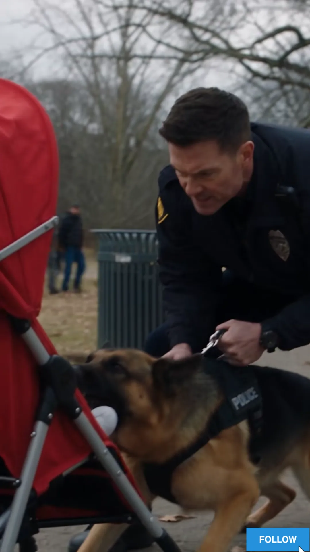 Everyone Thought the K9 Was Attacking the Baby—Until They Saw What Was Coming Down the Hill