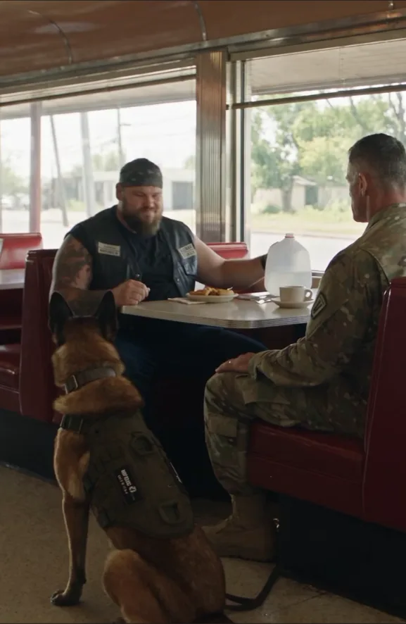 They Drenched My Retired War Dog and Laughed. Before Midnight, I Learned Why the Entire Town Had Been Waiting for Us.