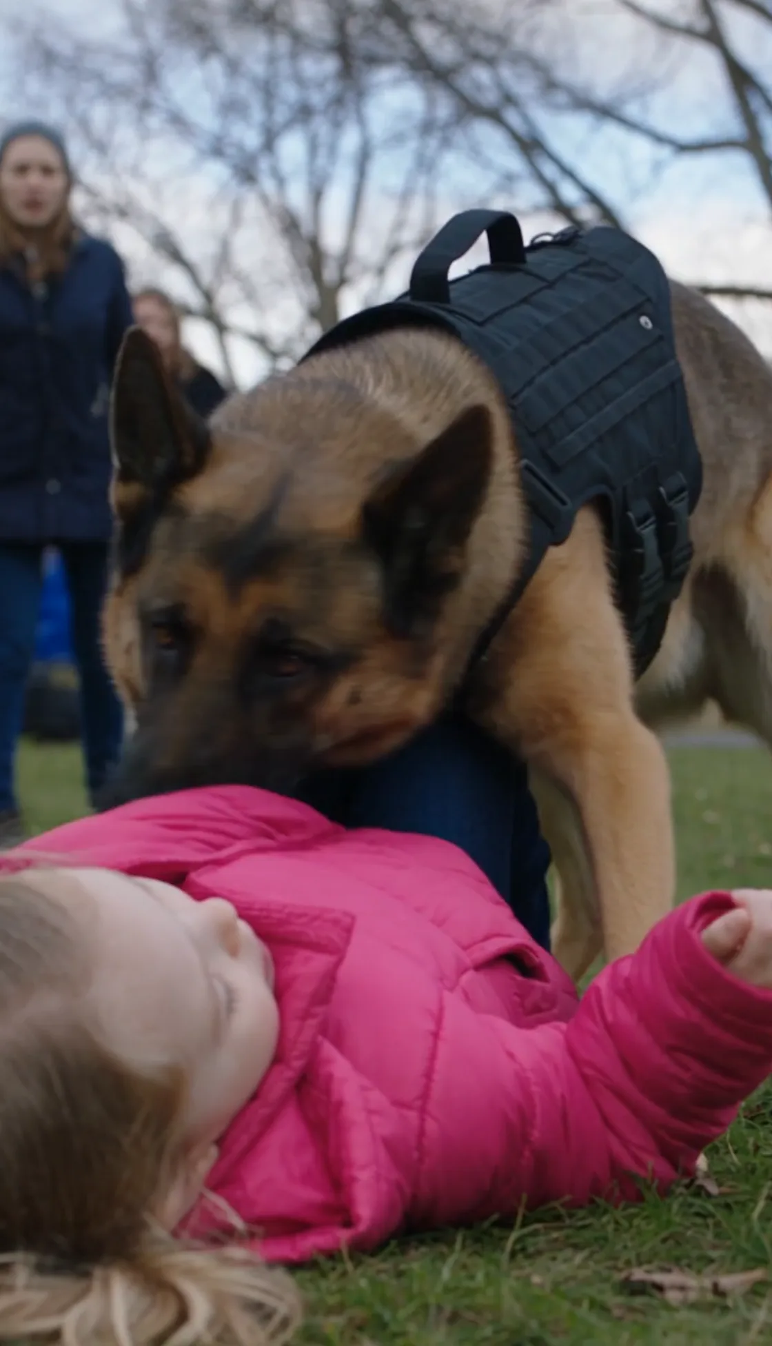 My decorated K9 partner violently pinned a screaming 7-year-old girl to the ground in a crowded park. The mob was ready to kill my dog, and I thought his career was over—until I looked down and saw the terrifying truth hidden in the grass. 003