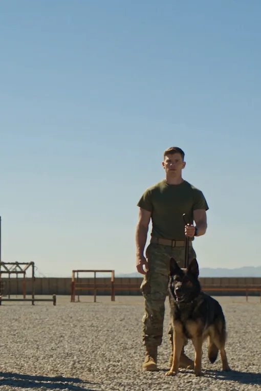 The Dog Who Came Back From the Dead. The Secret He Carried Home Changed Everything.006