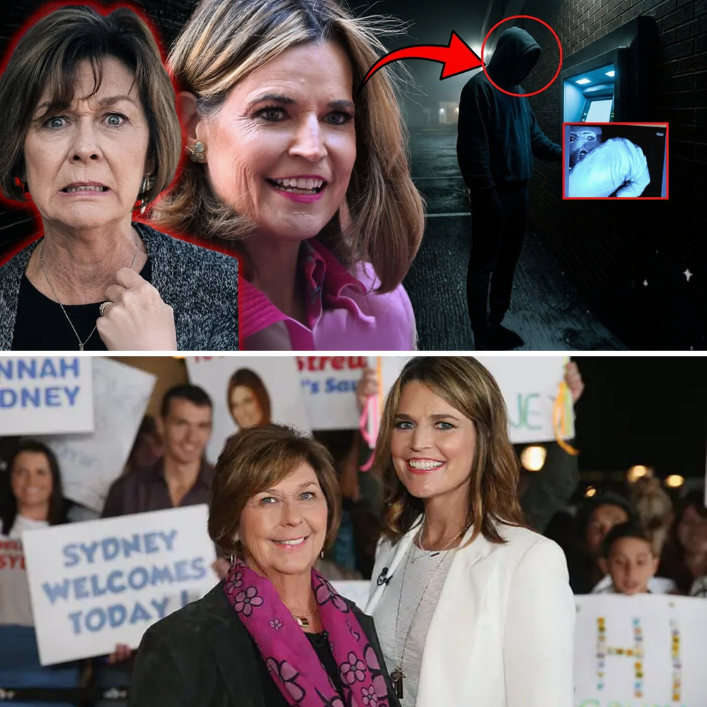 Shocking Bank Activity Exposed: What Nancy Guthrie Did With Her Money Days Before She Disappeared – And Why Investigators Stay Silent